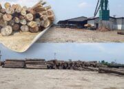 Masih Suasa Bencana, Diduga Banyak Tumpukan Gelondongan Kayu di PT. Tanjung Timberindo Industry