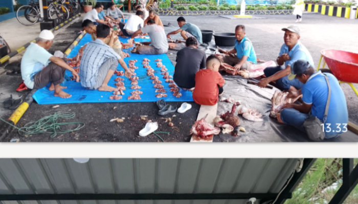 PLN UP3 Pematangsiantar Laksanakan Qurban Idul Adha 1447 H, Tebar Kepedulian untuk Sesama