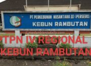 Dirut PTPN IV Diminta Evaluasi dan Copot Jabatan APK Kebun Rambutan